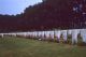 War Cemetery.jpg